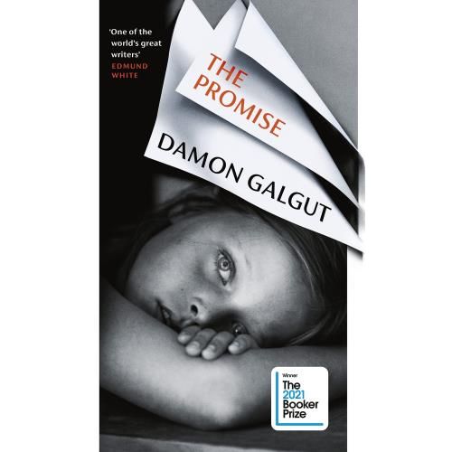 THE PROMISE - DAMON GALGUT - SBS Librerias