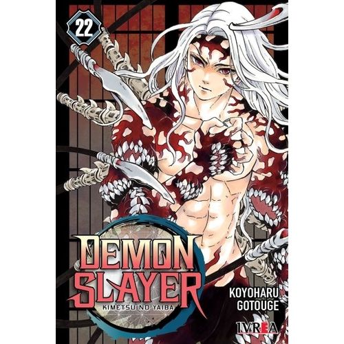 DEMON SLAYER - KIMETSU NO YAIBA 22