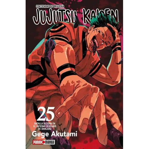 JUJUTSU KAISEN 25 - GEGE AKUTAMI
