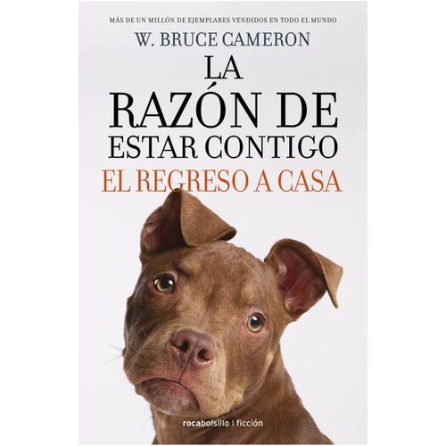 EL REGRESO A CASA - LA RAZON DE ESTAR CONTIGO 3