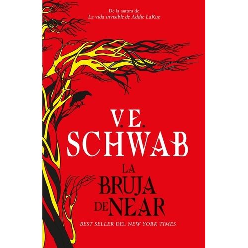 LA BRUJA DE NEAR - V. E. SCHWAB