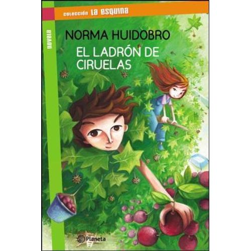 EL LADRON DE CIRUELAS - LA ESQUINA