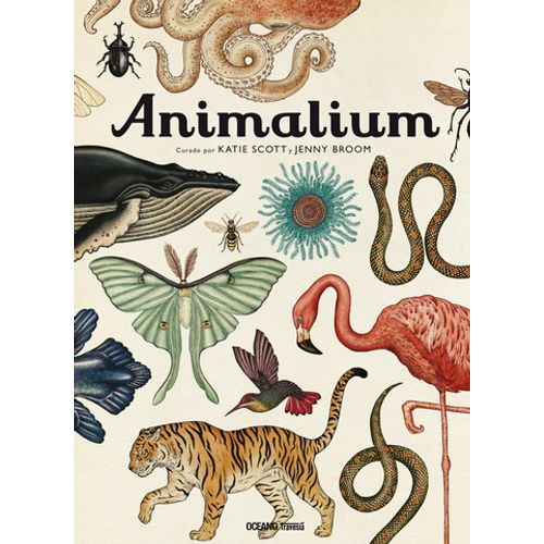 LIBRO ANIMALIUM - KATIE SCOTT / JENNY BROOM
