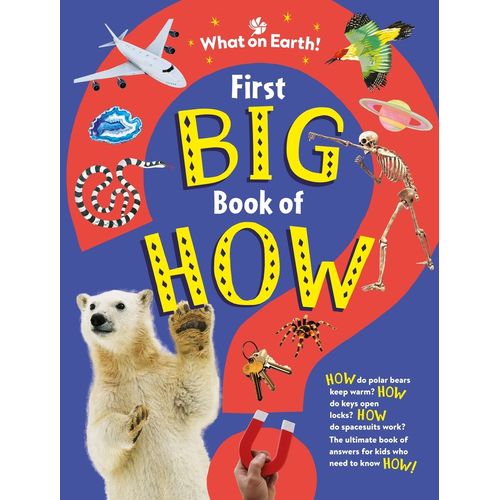 FIRST BIG BOOK OF HOW THINGS WORK - SALLY SYMES