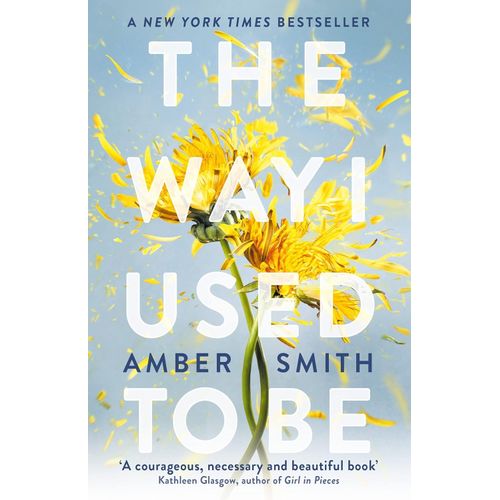 THE WAY I USED TO BE - AMBER SMITH