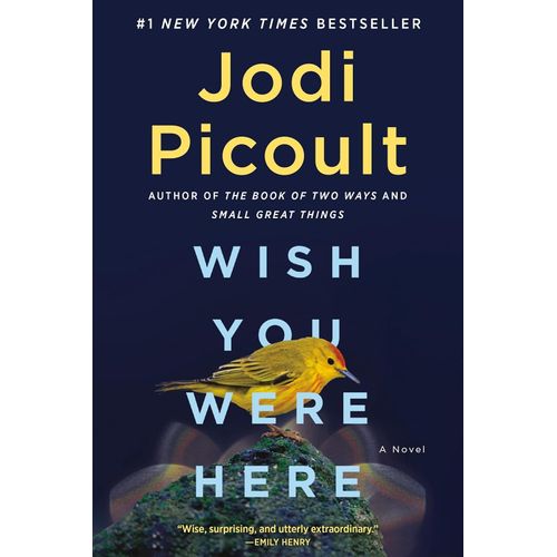 WISH YOU WERE HERE - JODI PICOULT