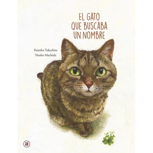 EL GATO QUE BUSCABA UN NOMBRE - FUMIKO TAKESHITA