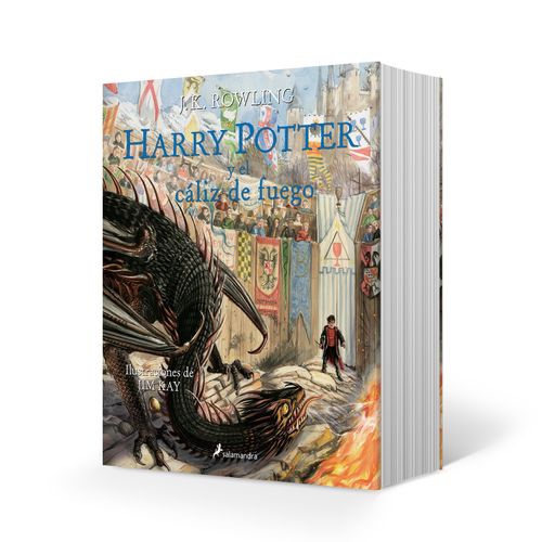 HARRY POTTER Y EL CALIZ DE FUEGO - HARRY POTTER 4 (ED ILUSTR