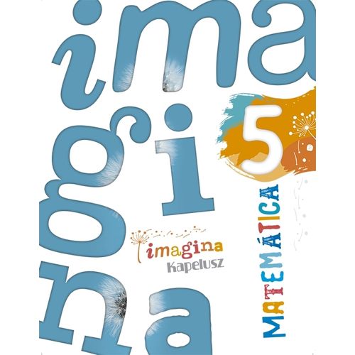 MATEMATICA 5 - IMAGINA