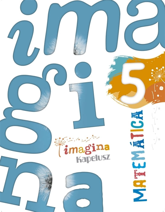 MATEMATICA 5 - IMAGINA