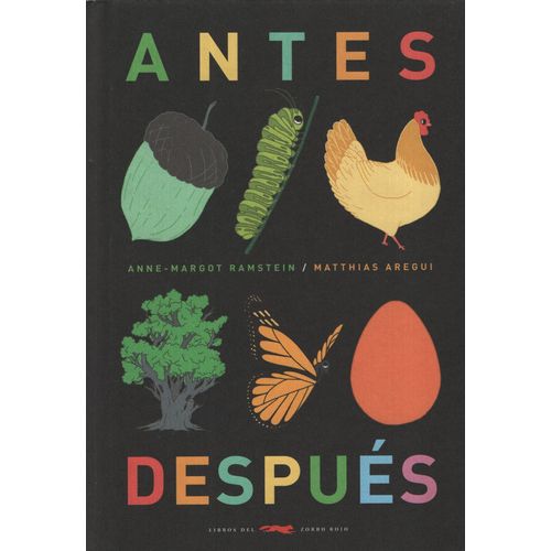 ANTES Y DESPUES