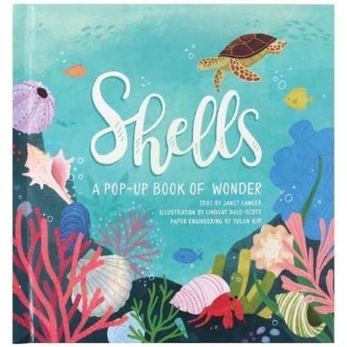 SHELLS - POP-UP BOOK OF WONDER SHELLS - POP-UP BOOK OF WONDER