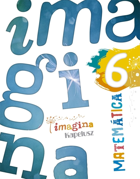 MATEMATICA 6 - IMAGINA