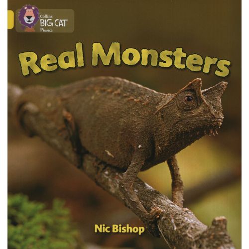 REAL MONSTERS - BIG CAT 3 / YELLOW - PHONICS