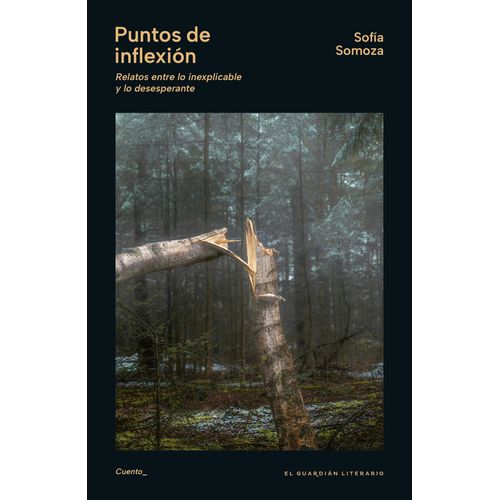 PUNTOS DE INFLEXION - SOFIA SOMOZA