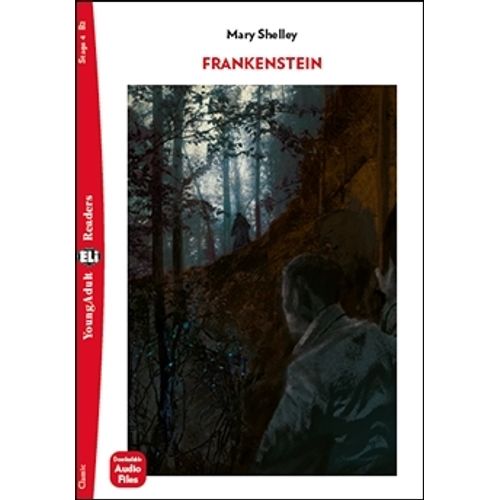 FRANKENSTEIN - YOUNG ADULT HUB READERS 4 (B2)