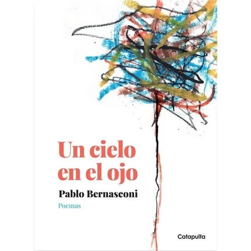 UN CIELO EN EL OJO - PABLO BERNASCONI
