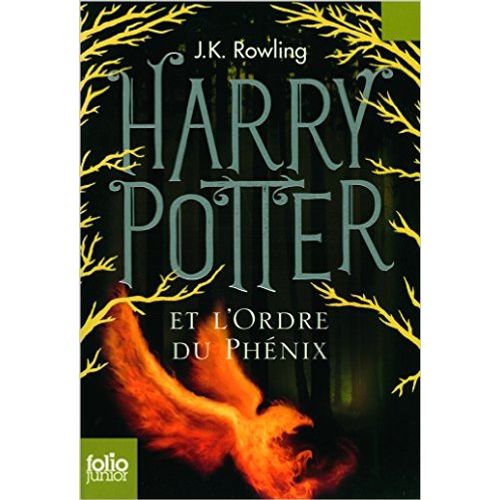 HARRY POTTER ET L'ORDRE DU PHENIX - HARRY POTTER V