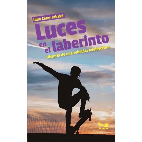 LUCES EN EL LABERINTO - JULIO CESAR LABAKE