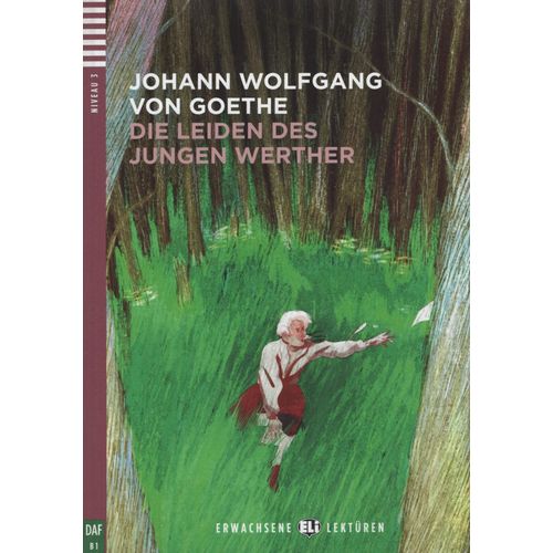 DIE LEIDEN DES JUNGEN WERTHER - ERWACHSENE HUB-LEKTUREN STUF