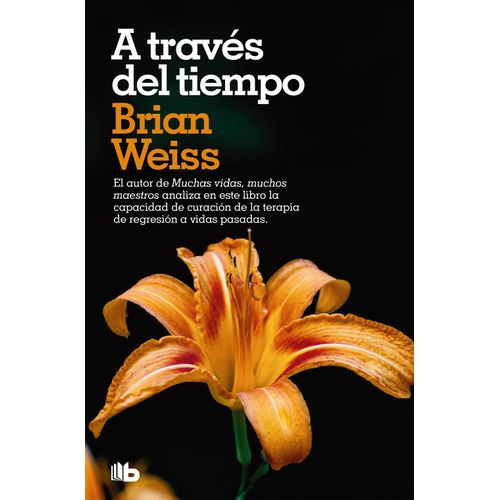 A TRAVES DEL TIEMPO - BRIAN WEISS