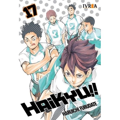HAIKYU!! 17 - HARUICHI FURUDATE
