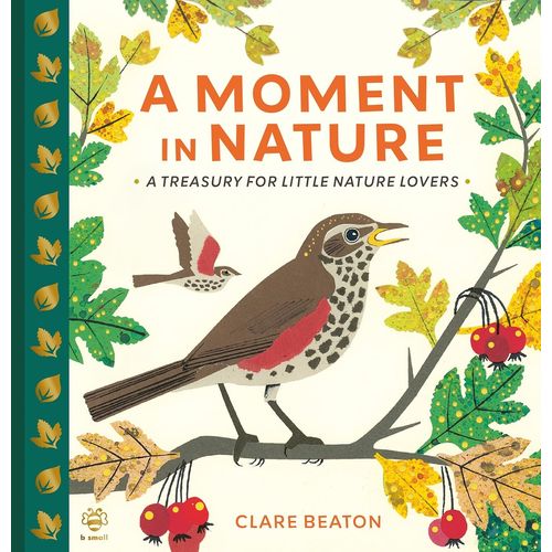 A MOMENT IN NATURE - CLARE BEATON