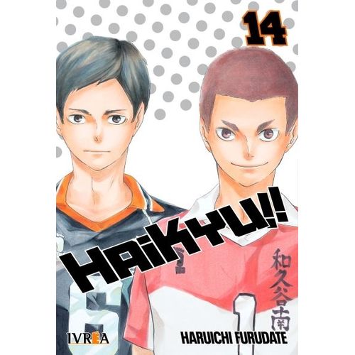 HAIKYU!! 14 - HARUICHI FURUDATE