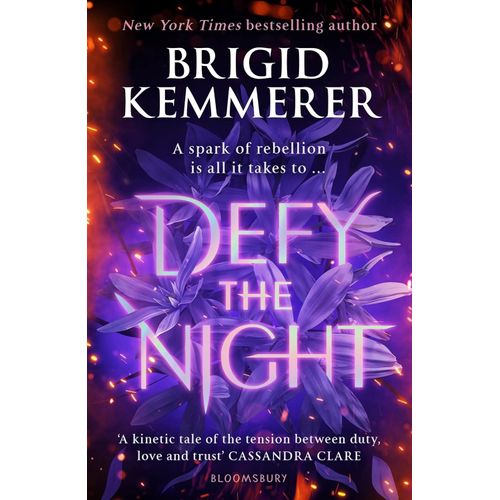 DEFY THE NIGHT - BRIGID KEMMERER