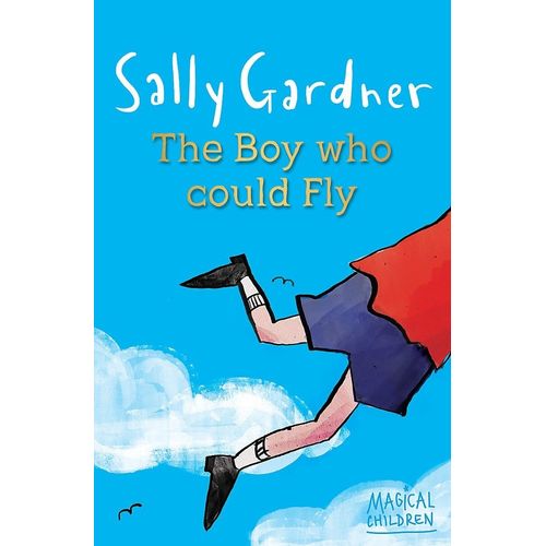 THE BOY WHO COULD FLY - SALLY GARDNER