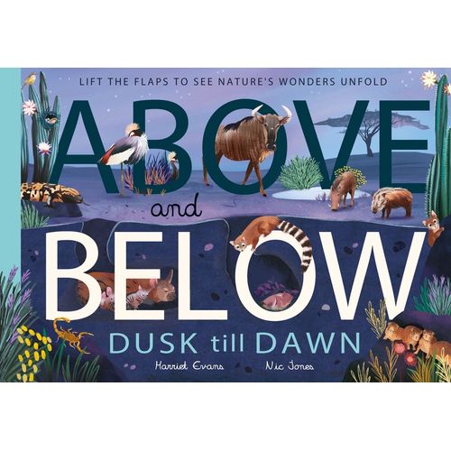 AVOBE AND BELOW - DUSK TILL DAWN