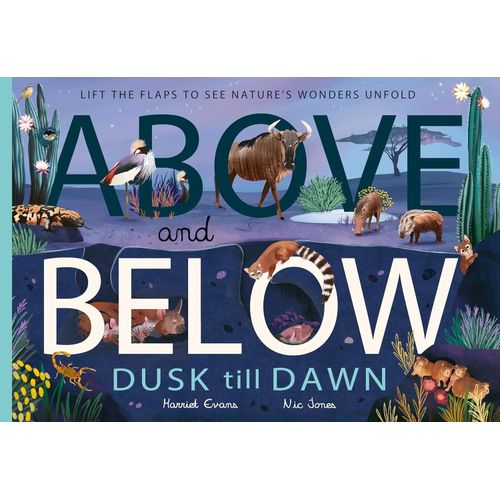 ABOVE AND BELOW - DUSK AND DAWN - HARRIET EVANS