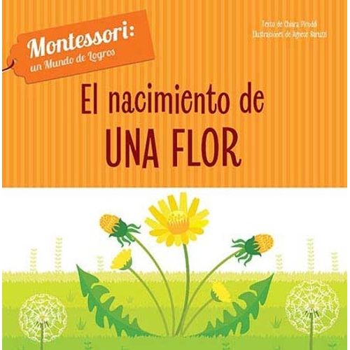 EL NACIMIENTO DE UNA FLOR - MONTESSORI UN MUNDO DE LOGROS (T