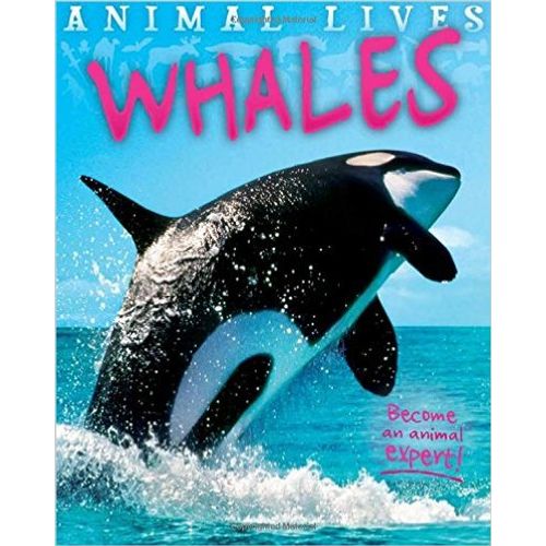 WHALES - ANIMAL LIVES
