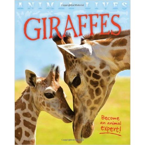 GIRAFFE - ANIMAL LIVES