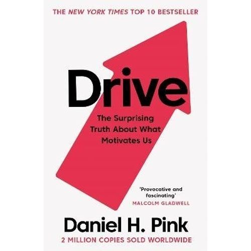 DRIVE - THE SURPRISING TRUTH ABOUT WHAT MOTIVATES US - PINK