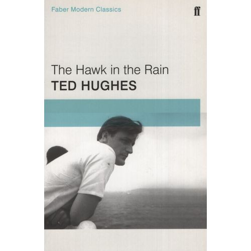 THE HAWK IN THE RAIN - TED HUGHES