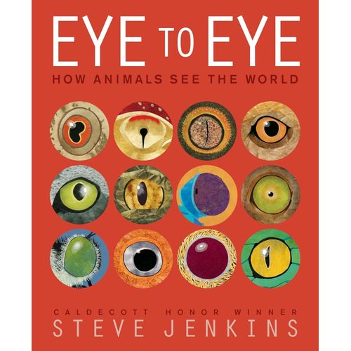 EYE TO EYE - STEVE JENKINGS