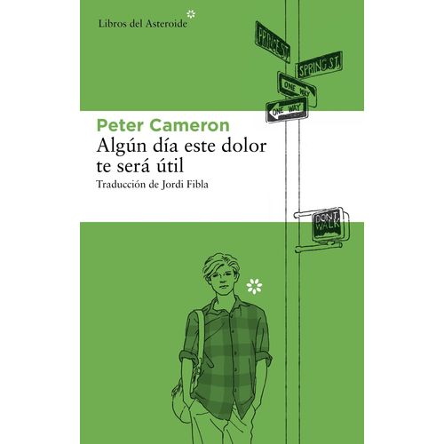 ALGUN DIA ESTE DOLOR TE SERA UTIL - PETER CAMERON