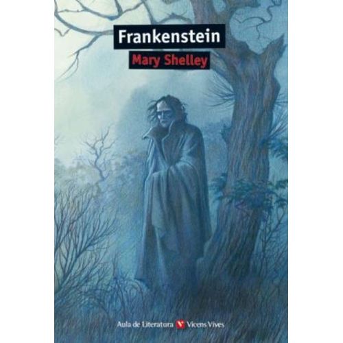 FRANKENSTEIN - AULA DE LITERATURA