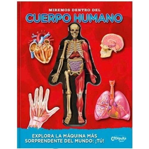 MIREMOS DENTRO DEL CUERPO HUMANO - LUANN COLOMBO