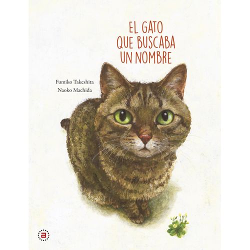 EL GATO QUE BUSCABA UN NOMBRE