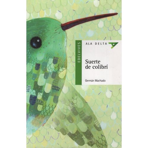SUERTE DE COLIBRI - ALA DELTA VERDE (+10 AÑOS)