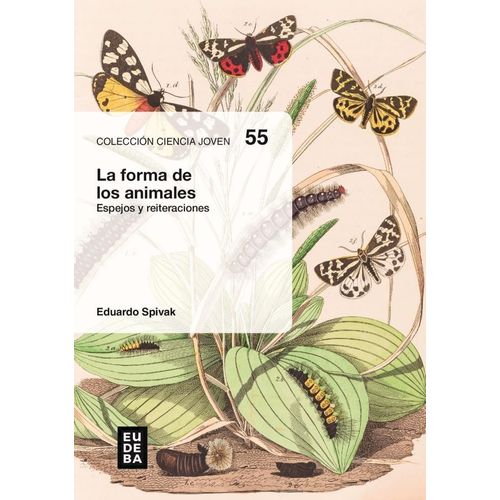 LA FORMA DE LOS ANIMALES - ESPEJOS Y REITERACIONES