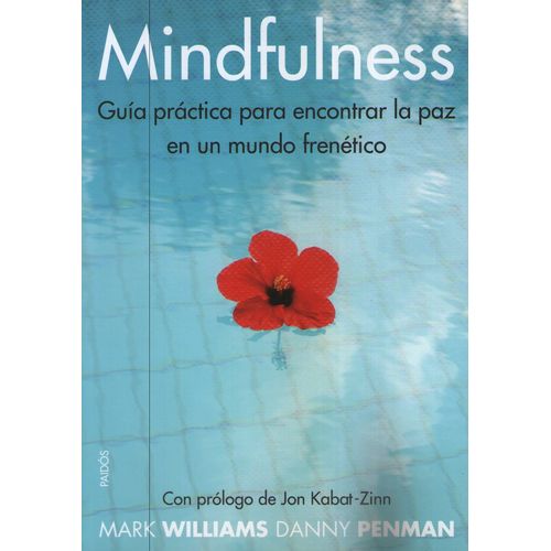 MINDFULNESS - GUIA PRACTICA PARA ENCONTRAR LA PAZ EN UN MUND