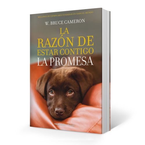 LIBRO LA RAZON DE ESTAR CONTIGO 3 - LA PROMESA - BRUCE CAMER