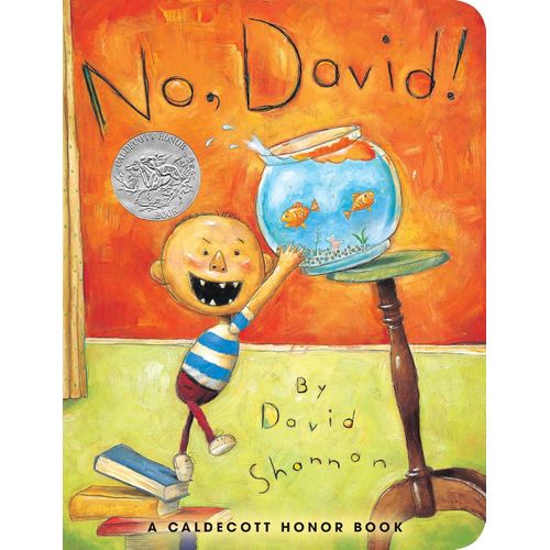 NO DAVID! - DAVID SHANNON
