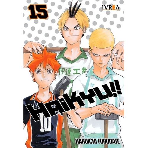 HAIKYU!! 15 - HARUICHI FURUDATE