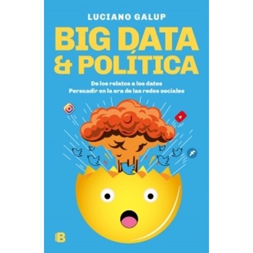 BIG DATA & POLITICA