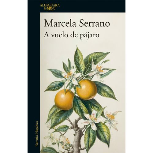A VUELO DE PAJARO - MARCELA SERRANO